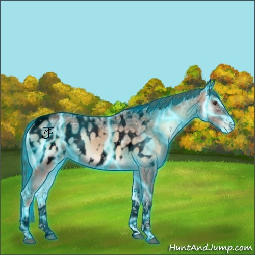 Horse Color:Void Thunderstruck Red Onyx Ice Tobiano Appaloosa 