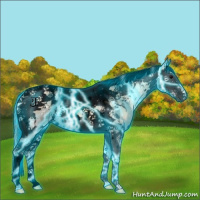 Horse Color:Void Thunderstruck Silver Bay Ice Onyx Splash Tobiano Appaloosa 