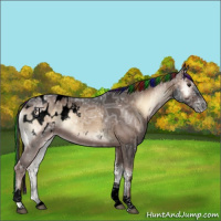Horse Color:Void Painted Liver Red Onyx Ice Tobiano Appaloosa 
