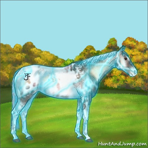 Horse Color:Thunderstruck Liver Red Onyx Ice Tobiano Appaloosa 