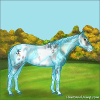 Horse Color:Thunderstruck Liver Red Onyx Ice Tobiano Appaloosa