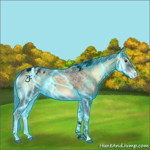 Horse Color:Void Thunderstruck Chocolate Palomino Ice Onyx Tobiano Blanket 