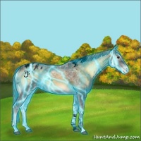Horse Color:Void Thunderstruck Chocolate Palomino Ice Onyx Tobiano Blanket