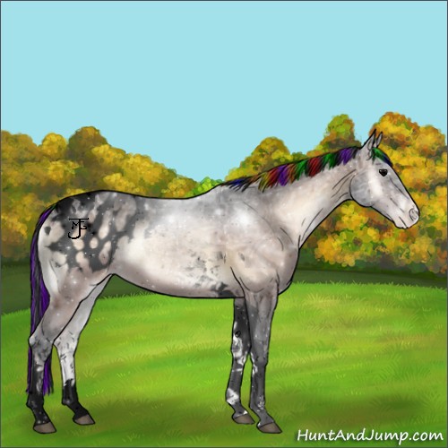 Horse Color:Void Painted Bay Ice Onyx Tobiano Appaloosa 