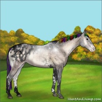 Horse Color:Void Painted Bay Ice Onyx Tobiano Appaloosa