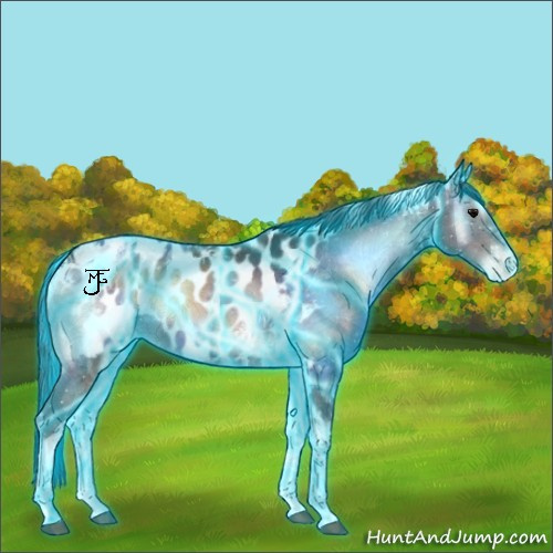 Horse Color:Thunderstruck Brown Ice Onyx Tobiano Appaloosa 
