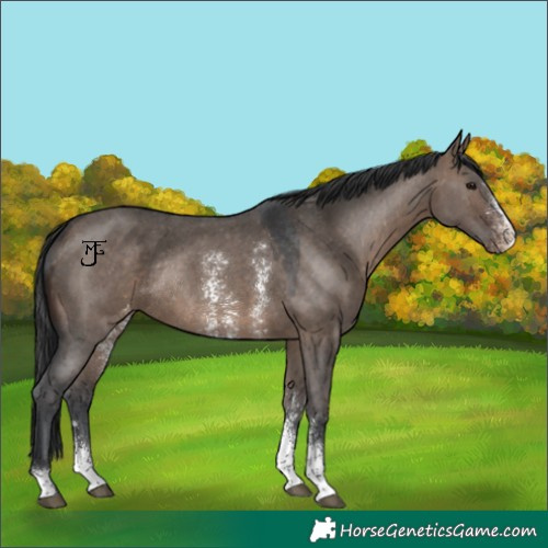 Horse Color:Brown Dun Sabino Varnish Rabicano 
