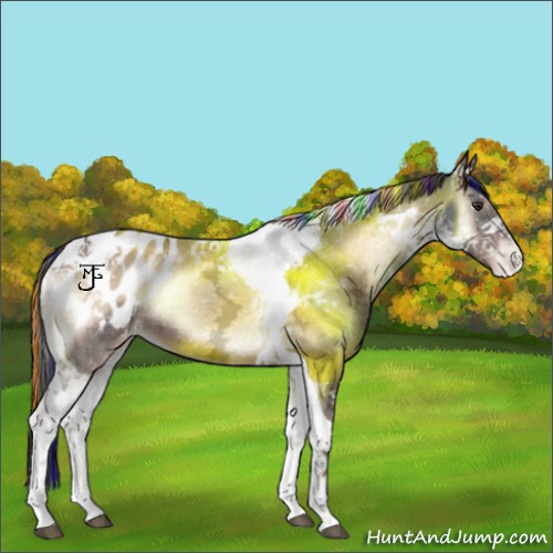 Horse Color:Painted Liver Red Onyx Ice Tobiano Appaloosa 