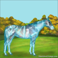 Horse Color:Thunderstruck Bay Ice Onyx Tobiano Appaloosa 