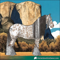 Horse Color:White Spotted Liver Red Dun Appaloosa Rabicano