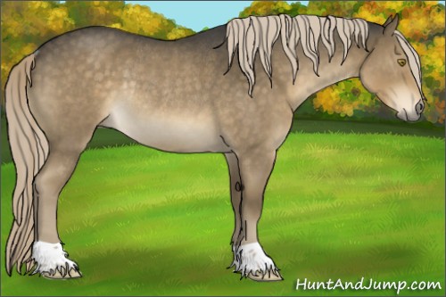 Horse Color:Chocolate Palomino Roan Mushroom Rabicano 