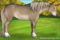 Horse Color:Chocolate Palomino Roan Mushroom Rabicano