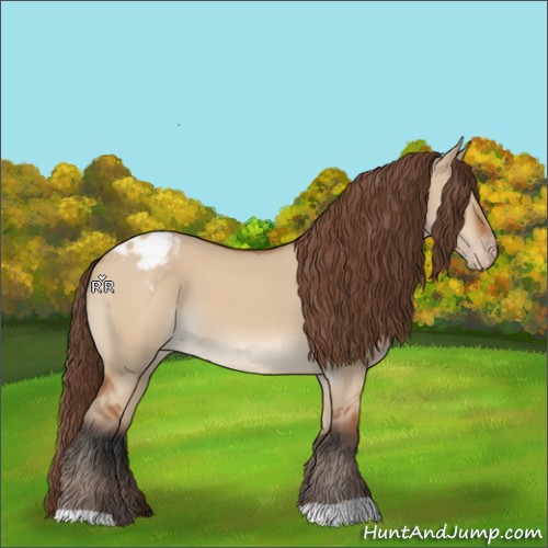 Horse Color:Bay Dun Appaloosa 
