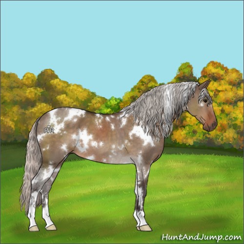 Horse Color:White Spotted Silver Brown Dun Sabino 