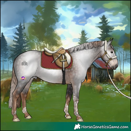 Horse Color:Gray Liver Chestnut Tobiano 