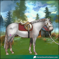 Horse Color:Gray Liver Chestnut Tobiano