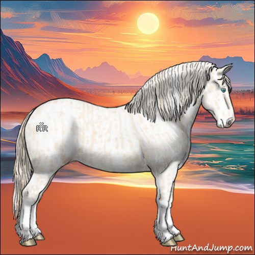 Horse Color:Perlino Splash  and Perlino Splash 