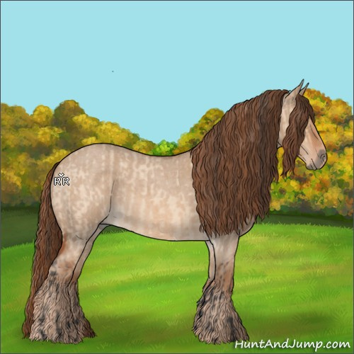 Horse Color:Bay Roan Dun  and Red Dun Roan 