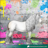 Horse Color:Gray White Spotted Silver Buckskin Dun Near Leopard and Buckskin Dun