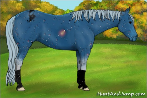 Horse Color:ERROR: UNKNOWN ANOMALY