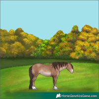 Horse Color:Sable Champagne 