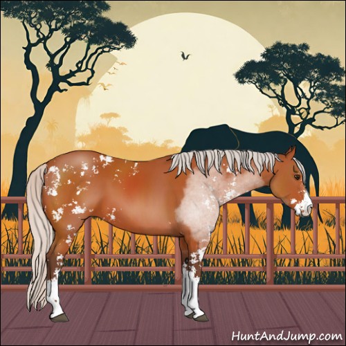 Horse Color:Silver Brown Sabino 