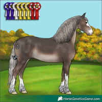 Horse Color:Silver Black 