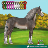 Horse Color:Silver Black 