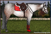 Horse Color:Gray Bay 