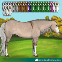 Horse Color:Silver Brown Dun Mushroom Sabino 