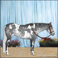 Horse Color:White Spotted Silver Black Chinchilla 