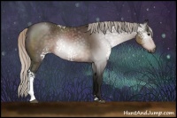 Horse Color:Gray White Spotted Silver Black Sabino 