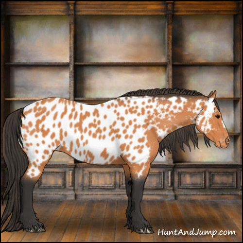 Horse Color:Bay Near Leopard 