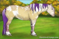 Horse Color:Watercolor White Spotted Amber Champagne Dun 