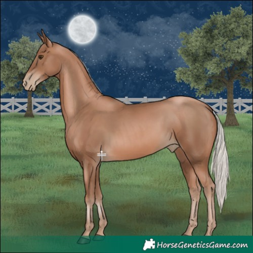 Horse Color:Silver Black Pearl