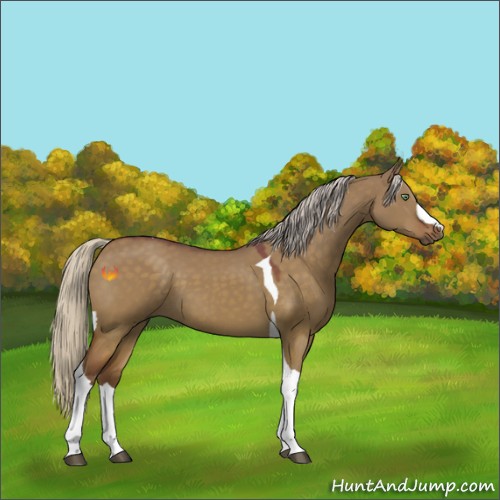 Horse Color:Silver Buckskin Dun Tobiano 