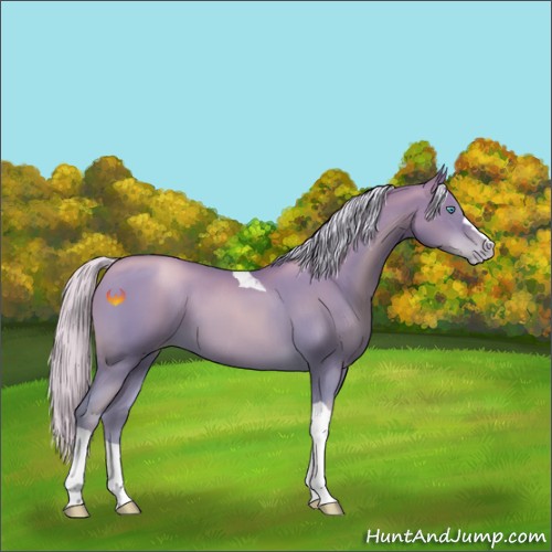 Horse Color:Silver Buckskin Pearl Tobiano 