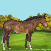 Horse Color:Chocolate Buckskin 
