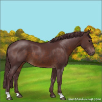 Horse Color:Chocolate Brown 