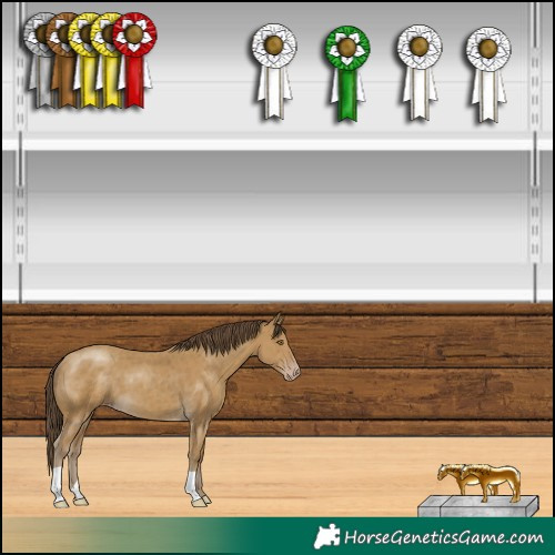 Horse Color:Classic Cream Champagne 