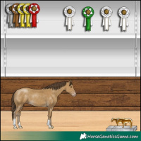 Horse Color:Classic Cream Champagne