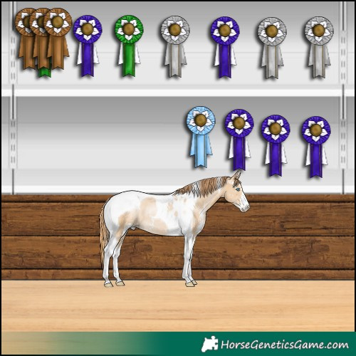 Horse Color:Smoky Black Pearl Sabino Tobiano Rabicano 