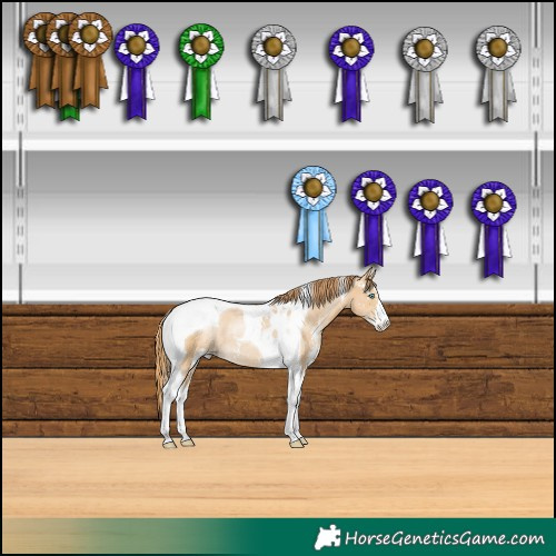 Horse Color:Smoky Black Pearl Sabino Tobiano Rabicano 