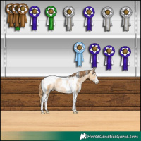 Horse Color:Smoky Black Pearl Sabino Tobiano Rabicano 