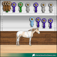 Horse Color:Smoky Black Pearl Sabino Tobiano Rabicano
