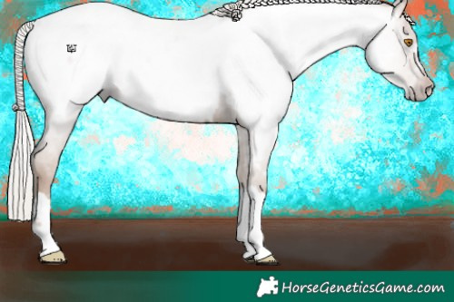 Horse Color:Gray Silver Classic Champagne Near Fewspot