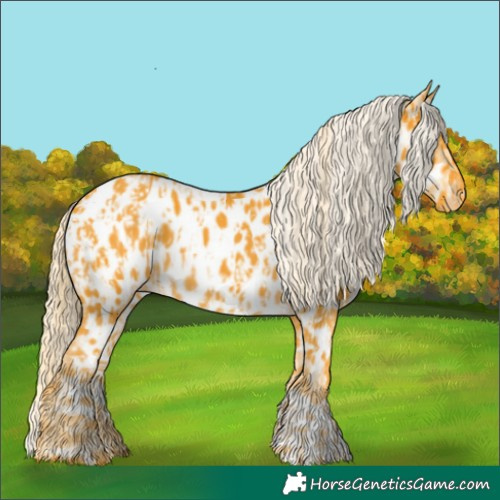 Horse Color:Palomino Appaloosa  and Palomino Appaloosa 