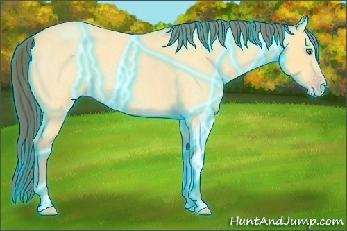 Horse Color:Thunderstruck Amber Cream Champagne Roan 