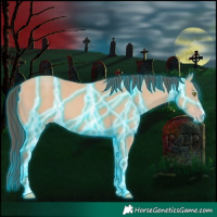 Horse Color:Thunderstruck Amber Champagne 