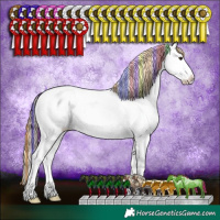 Horse Color:Painted Plaid  Red Onyx Sabino Snowflake Varnish